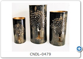 CNDL-0479