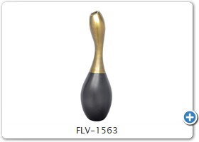 FLV-1563