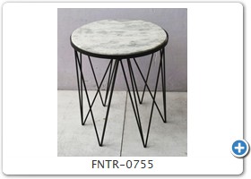 FNTR-0755