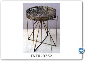 FNTR-0762