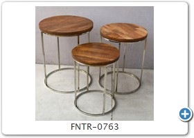 FNTR-0763