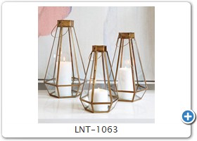 LNT-1063