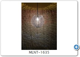 MLNT-1635