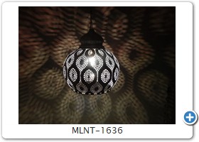 MLNT-1636