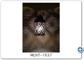 MLNT-1637