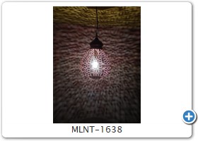 MLNT-1638