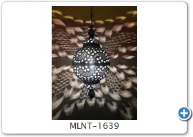 MLNT-1639
