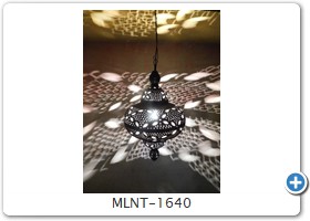 MLNT-1640