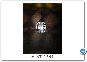 MLNT-1641