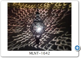MLNT-1642