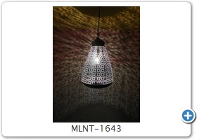 MLNT-1643