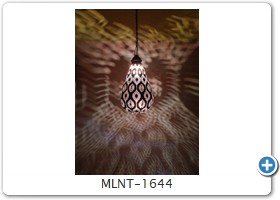 MLNT-1644