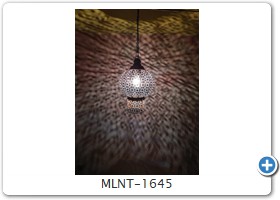 MLNT-1645