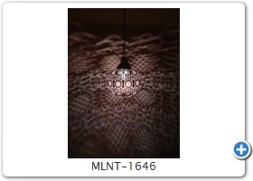 MLNT-1646