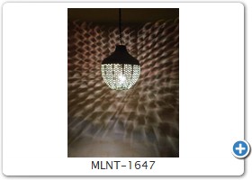 MLNT-1647