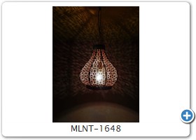 MLNT-1648