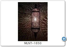 MLNT-1650