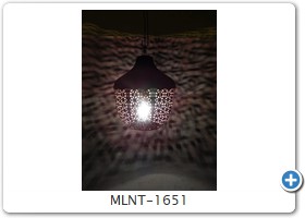 MLNT-1651