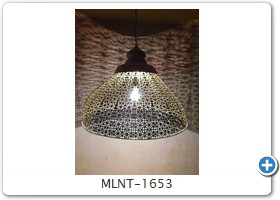 MLNT-1653