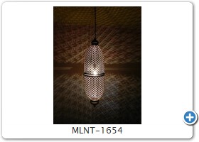 MLNT-1654