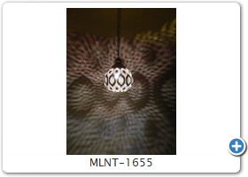 MLNT-1655