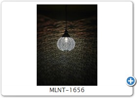 MLNT-1656