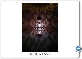 MLNT-1657